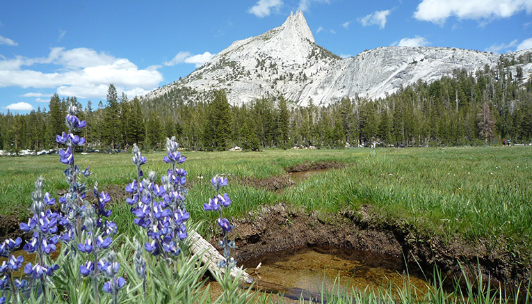 Myoi-yosemite-multisport-4